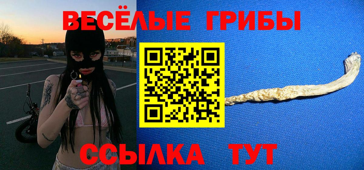 купить закладку  Вход с VPN  Прокопьевск  Псилоцибиновые грибы мицелий 