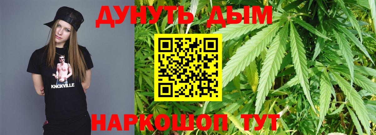 Прокопьевск  Конопля сатива  Вход с VPN  Конопля марихуана 